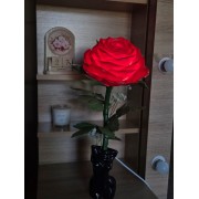 Світильник - Мадонна